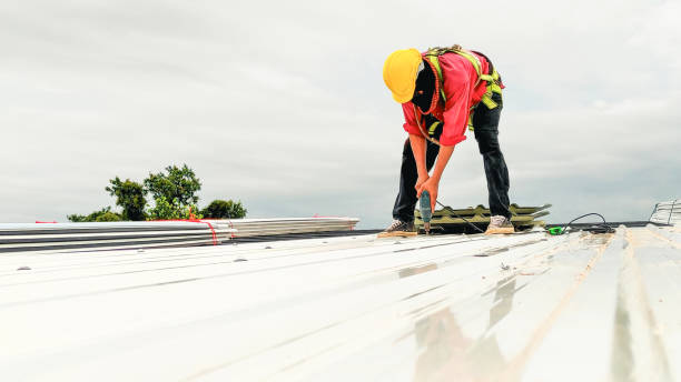 Best Roof Insulation Installation  in Lemont, IL
