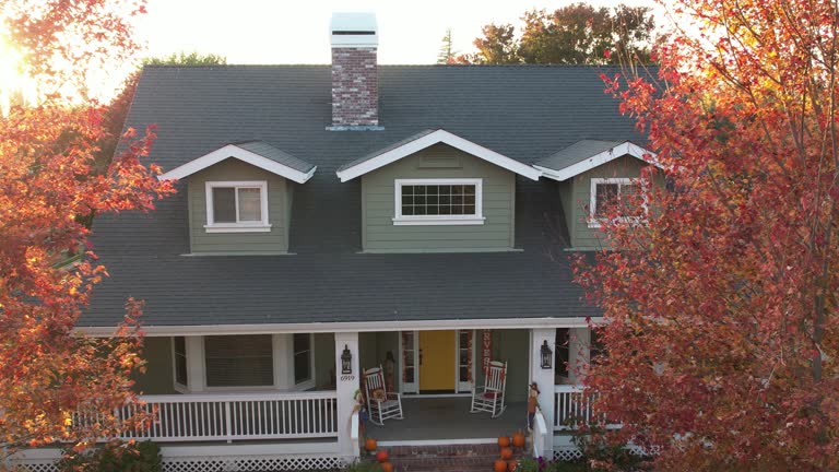 Best Steel Roofing  in Lemont, IL