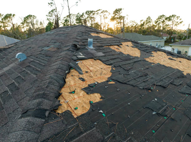 Best Asphalt Shingle Roofing  in Lemont, IL